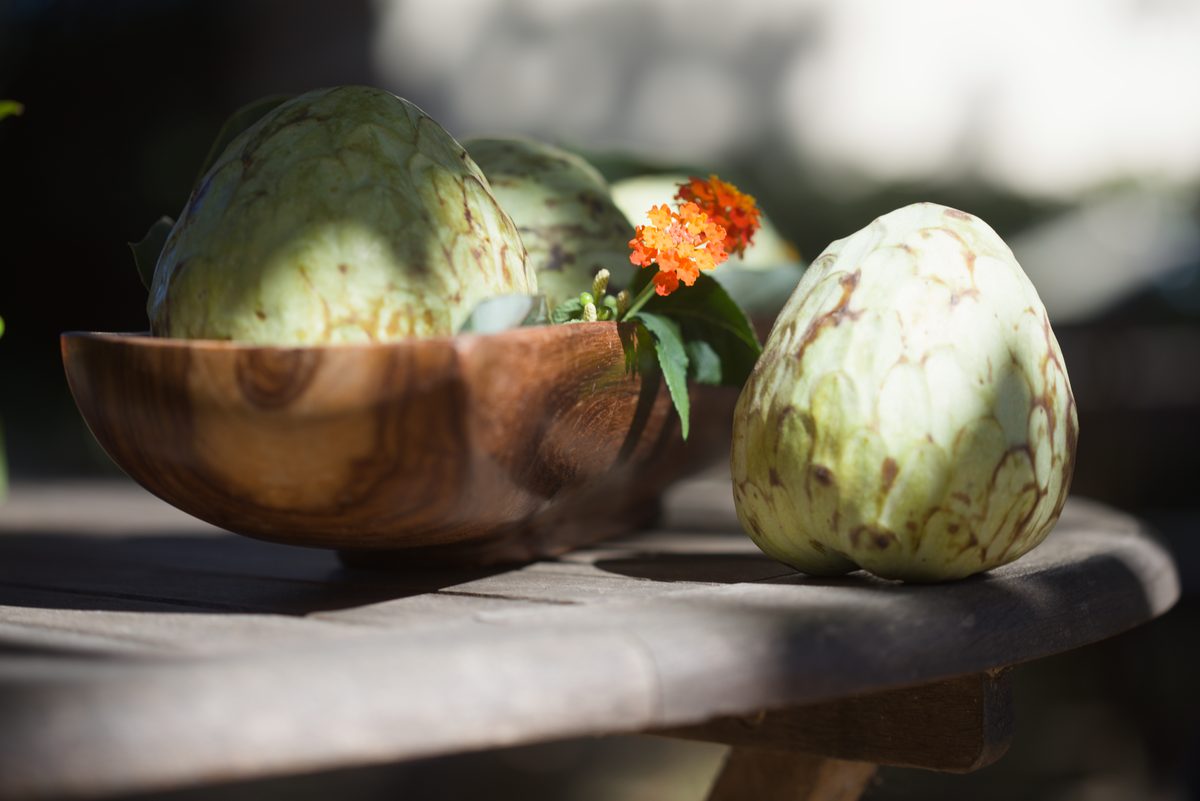 Cherimoya