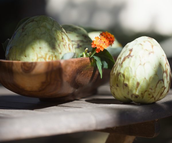Cherimoya