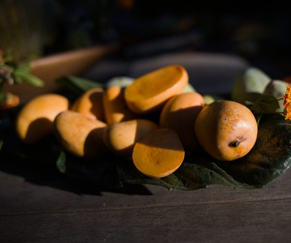 Ataulfo mango, Andalusia